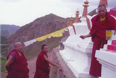 Rinpoche's projects